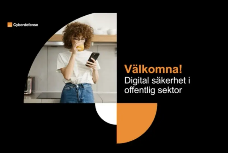 Webinar offentlig sektor