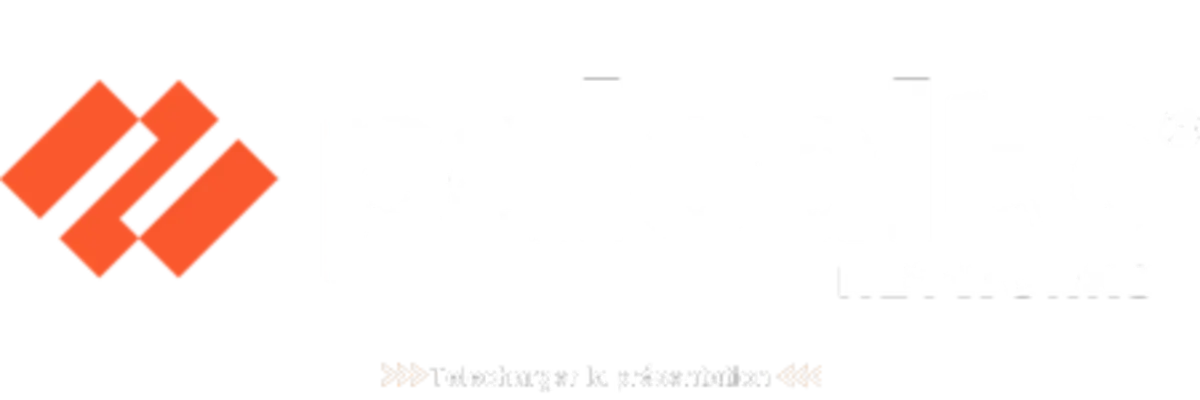 Logo Palo Alto Presentation
