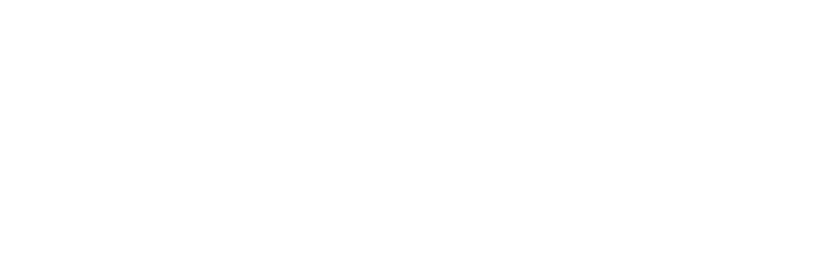 Logo Cato Networks White