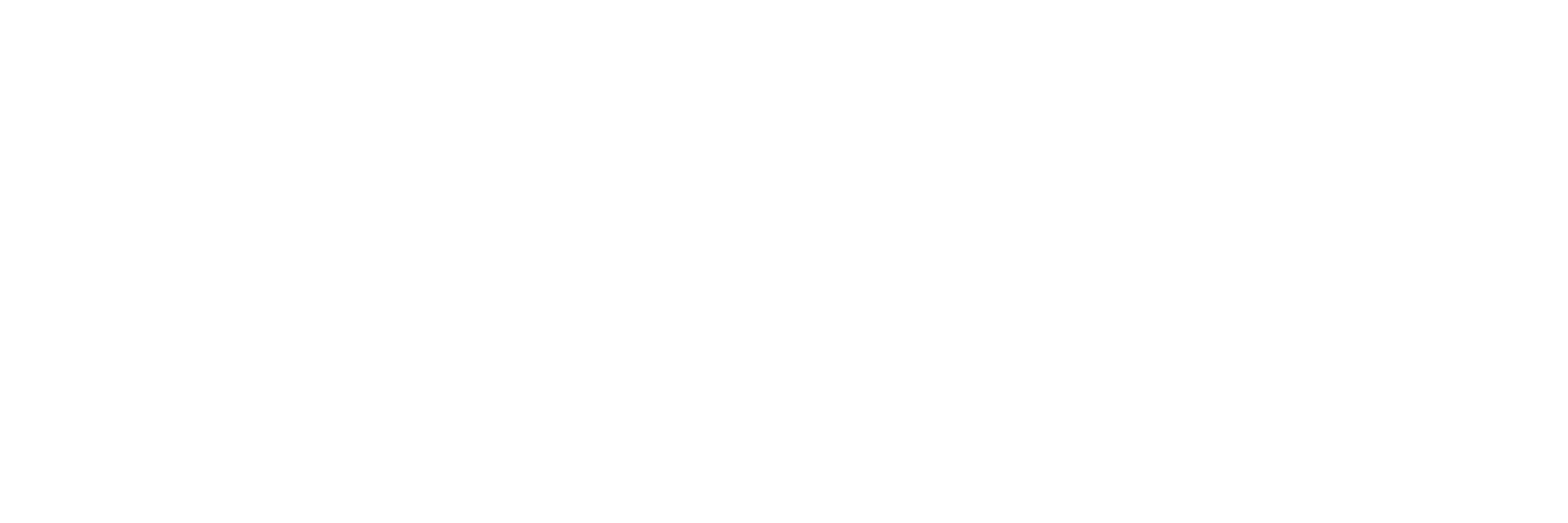 Logo Cato Networks White