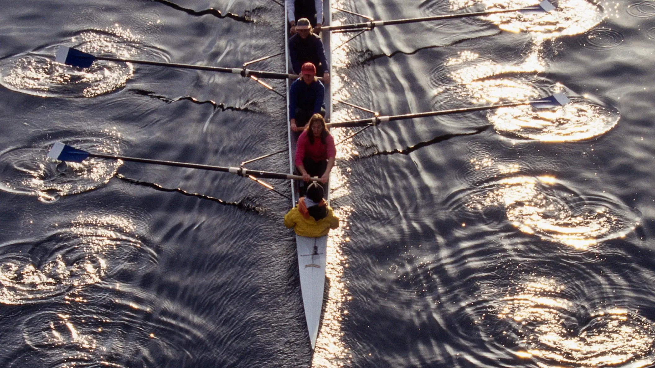 Security Navigator 2026