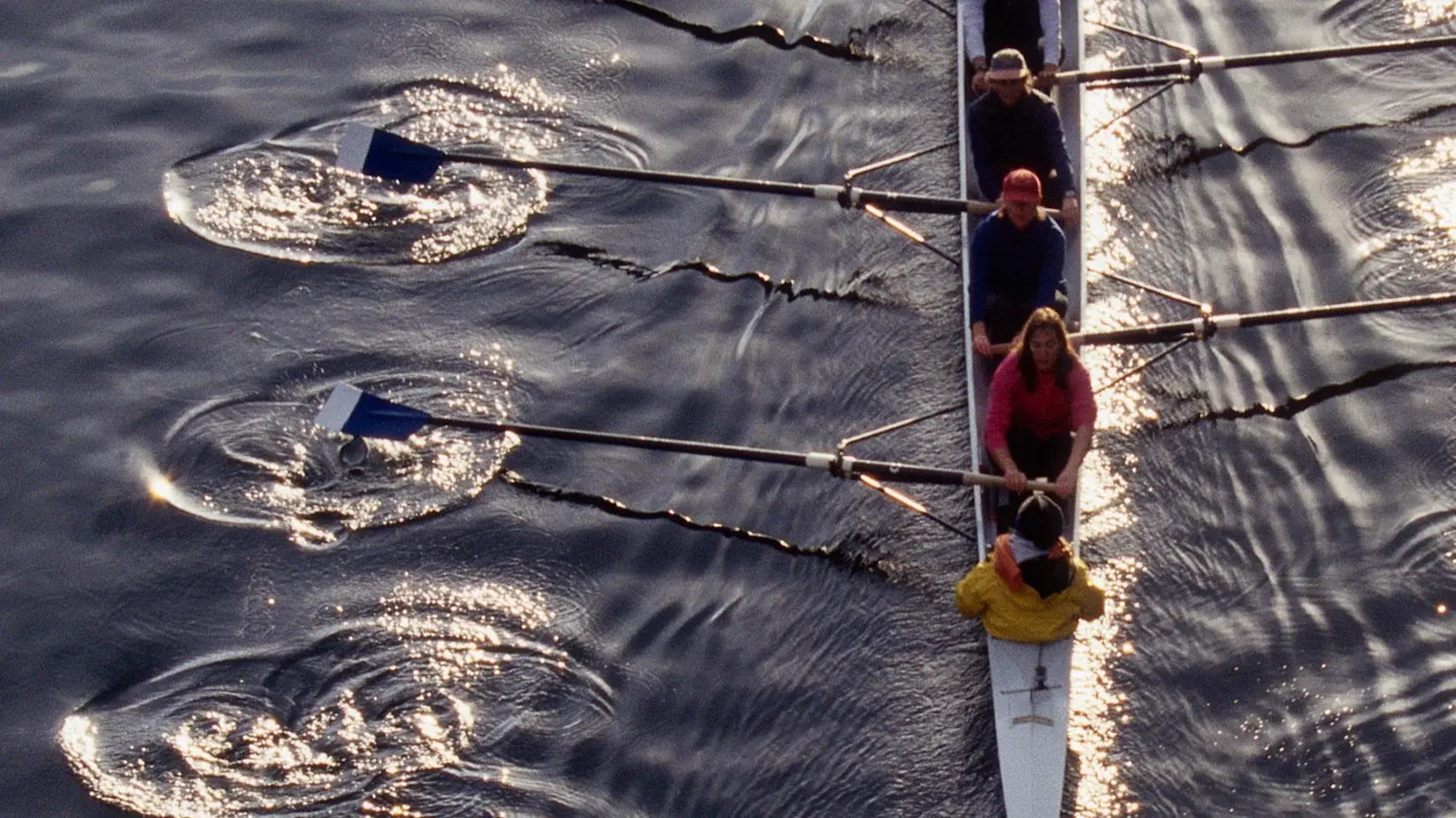 Security Navigator 2026