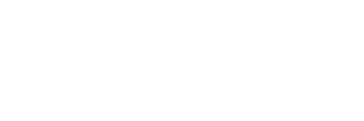 Logo Rubrik white
