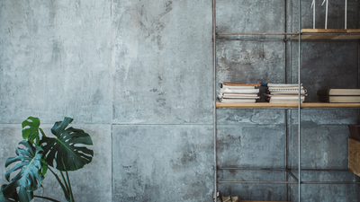 Concrete wall with a potted plant in the foreground.