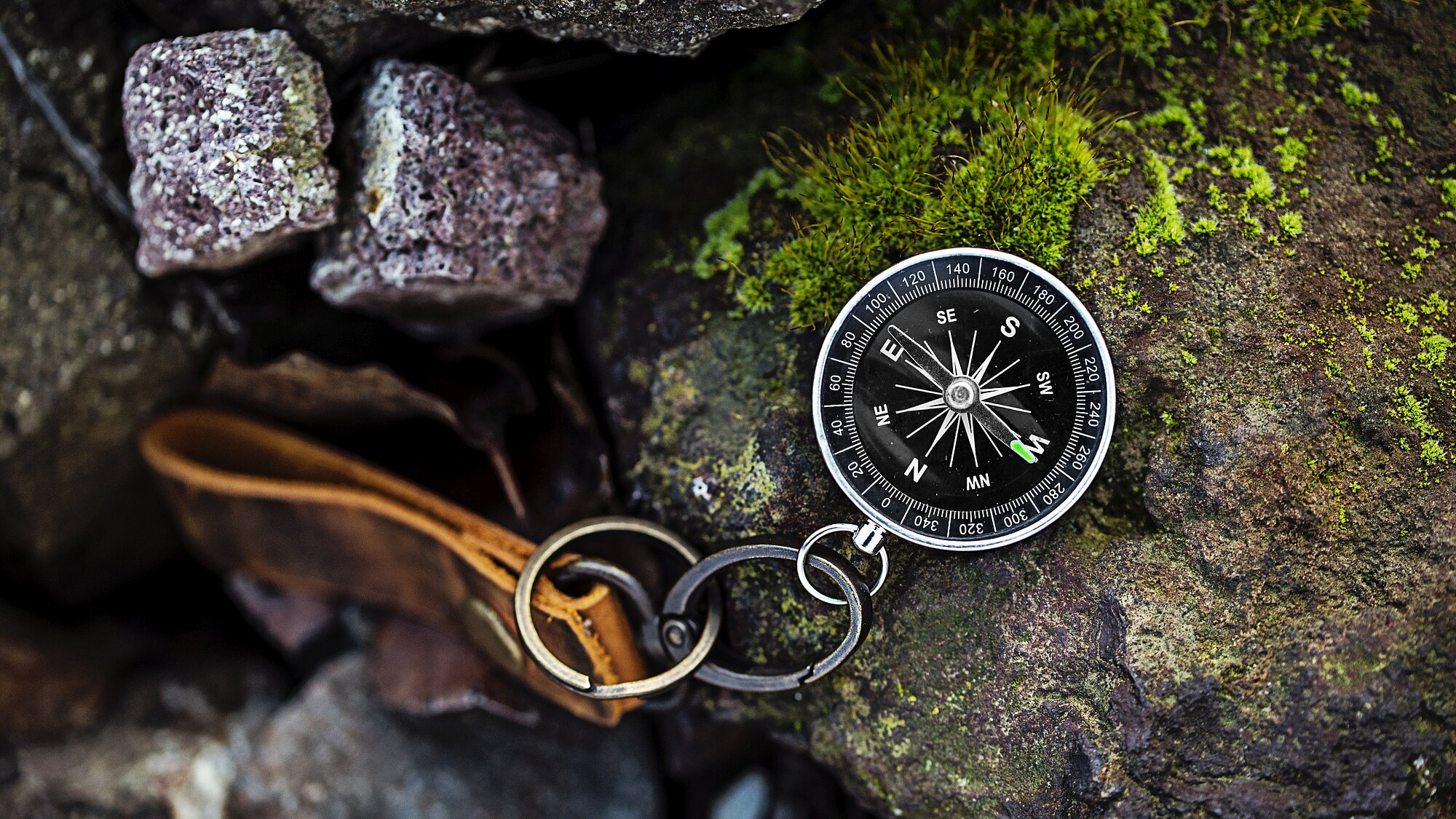 Be among the first ones to read the Navigator 2024!