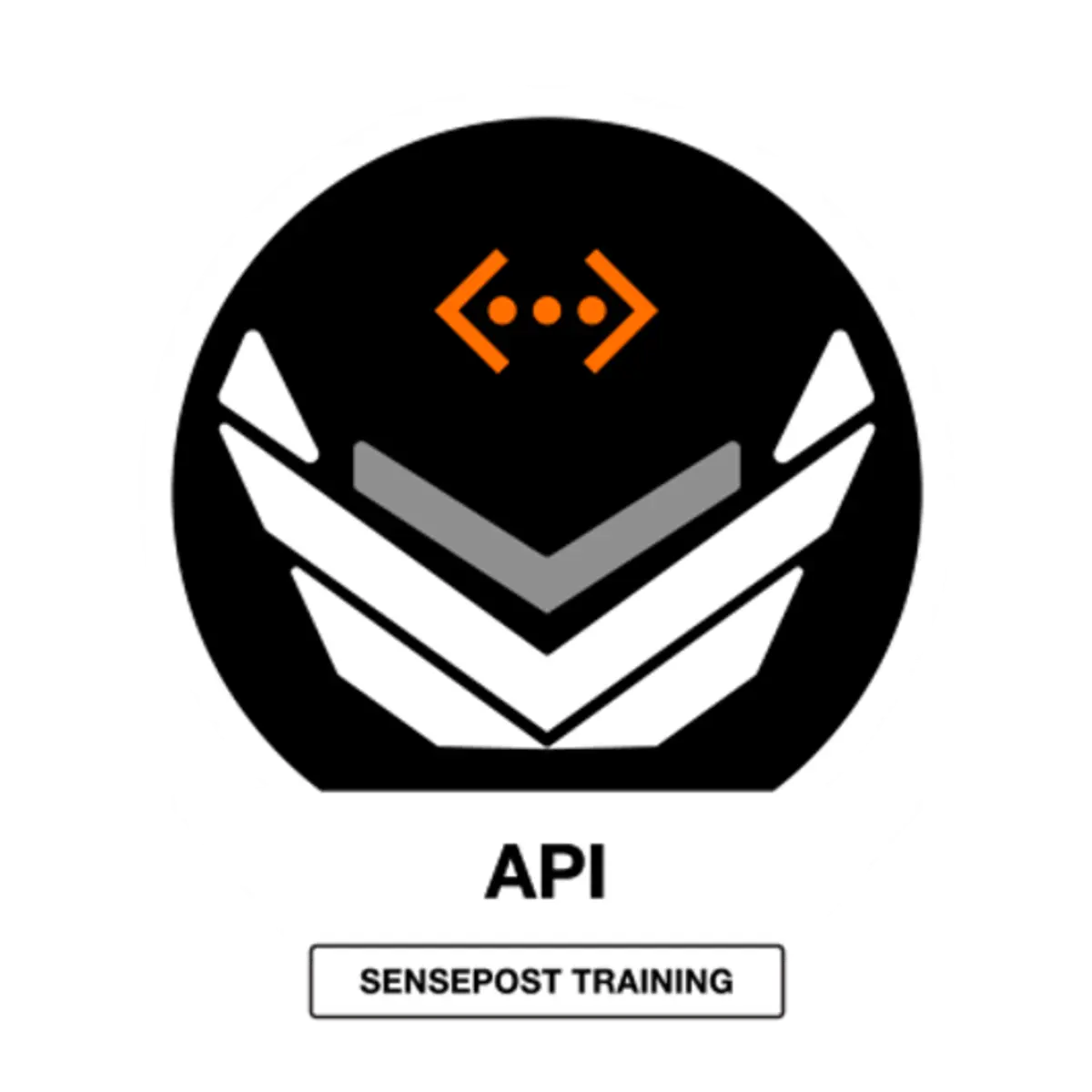 API training logo