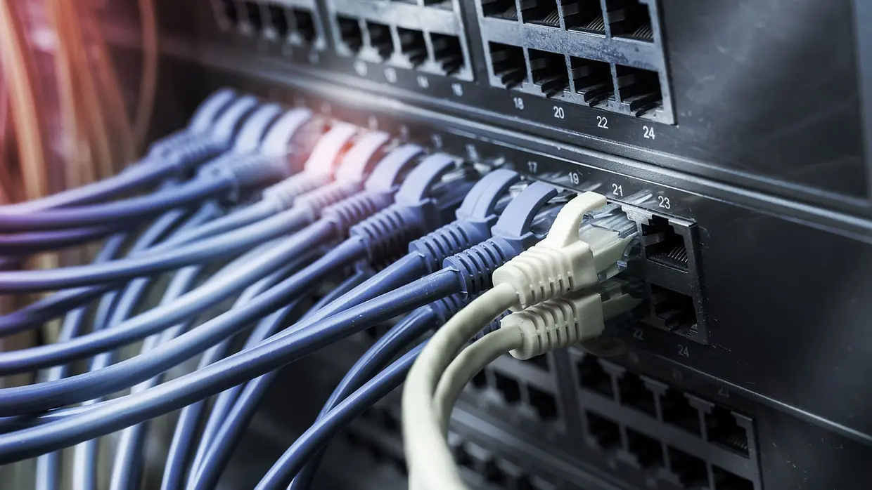 close-up of network cables connected to a server 