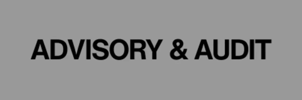 Advisory & Audit