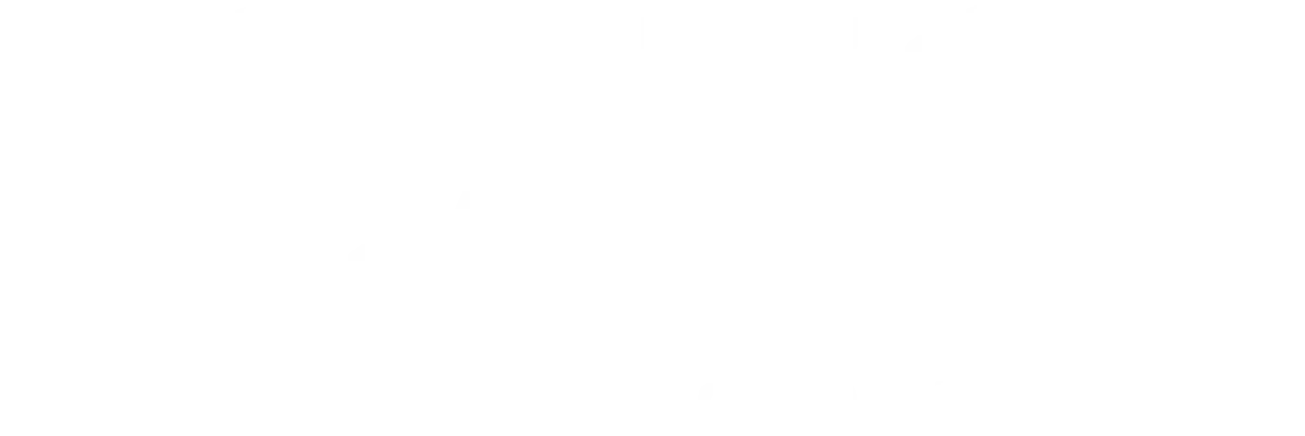 logo cato networks white