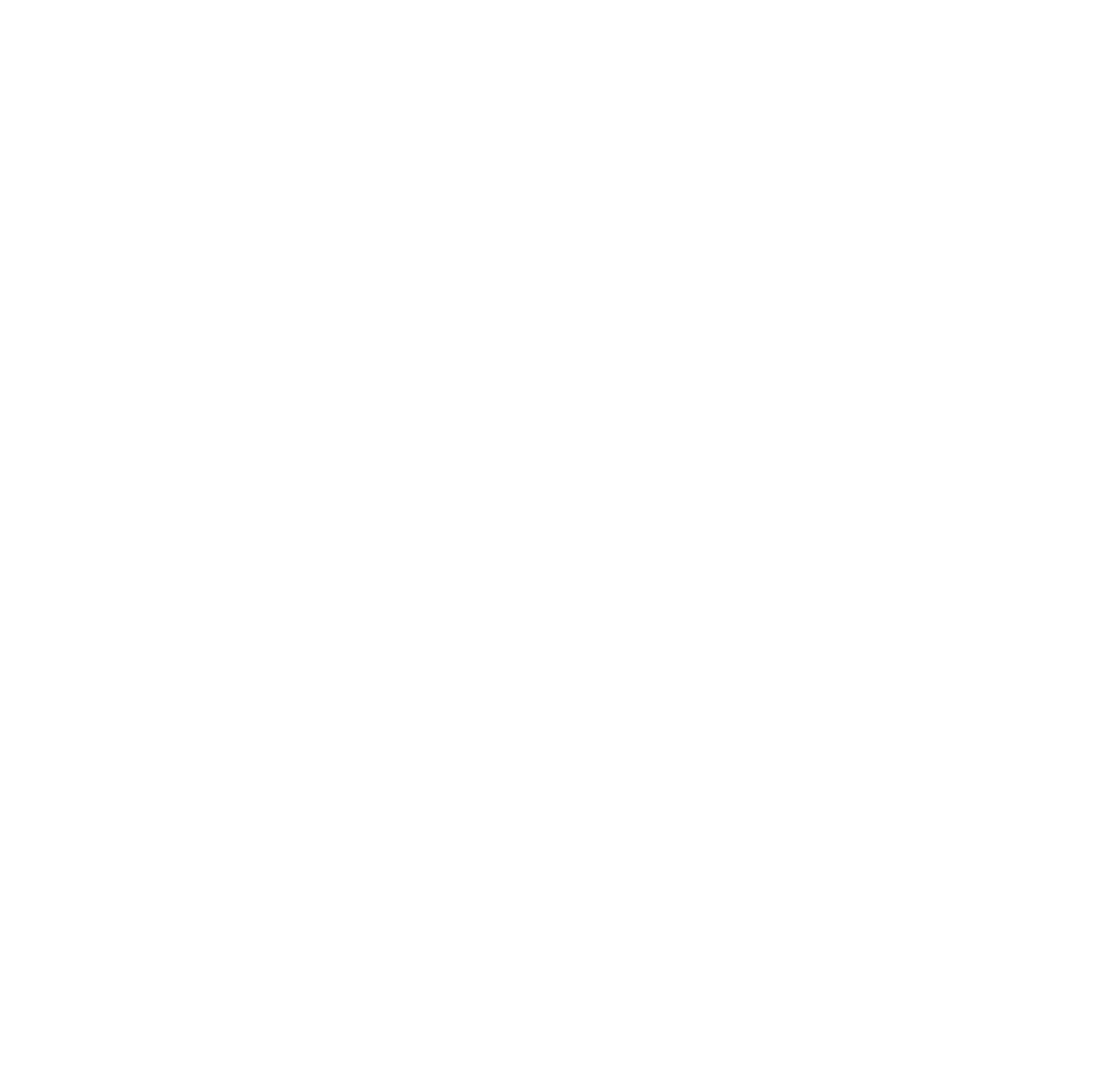Person - white icon