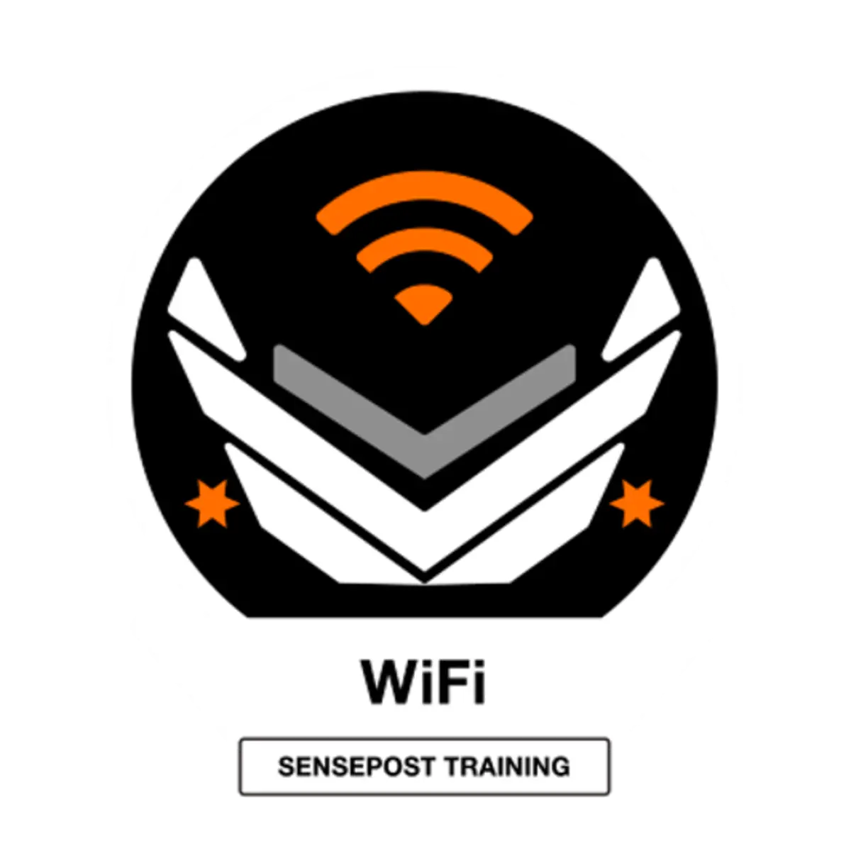 Wifi training logo