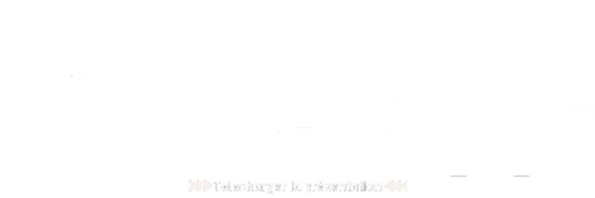 NetApp logo white presentation 