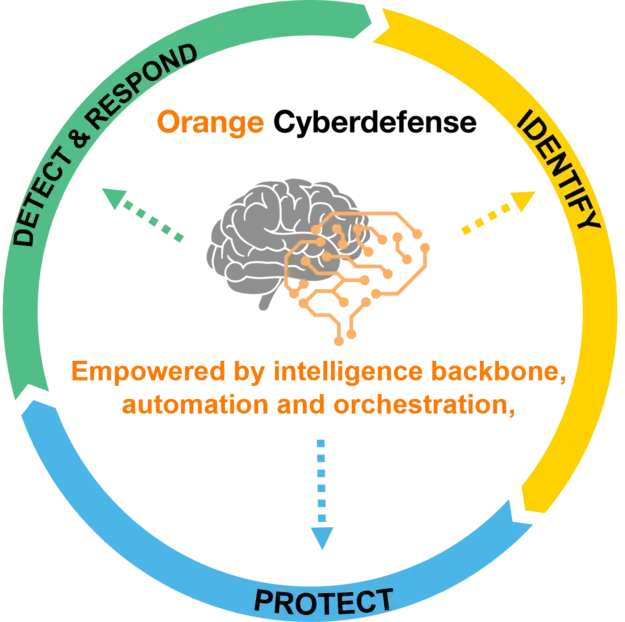 SASE scheme - white illustration