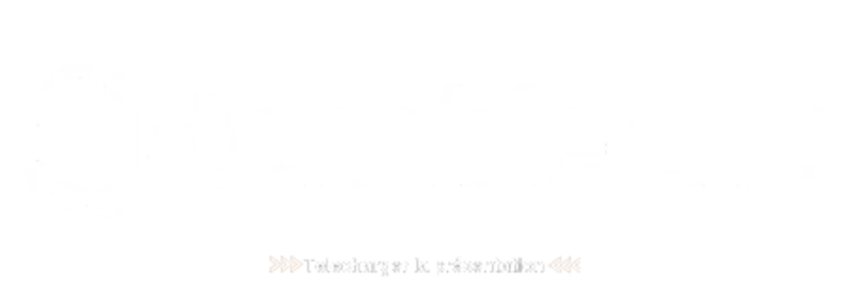 Logo Tenable White Presentation Reboot 2024
