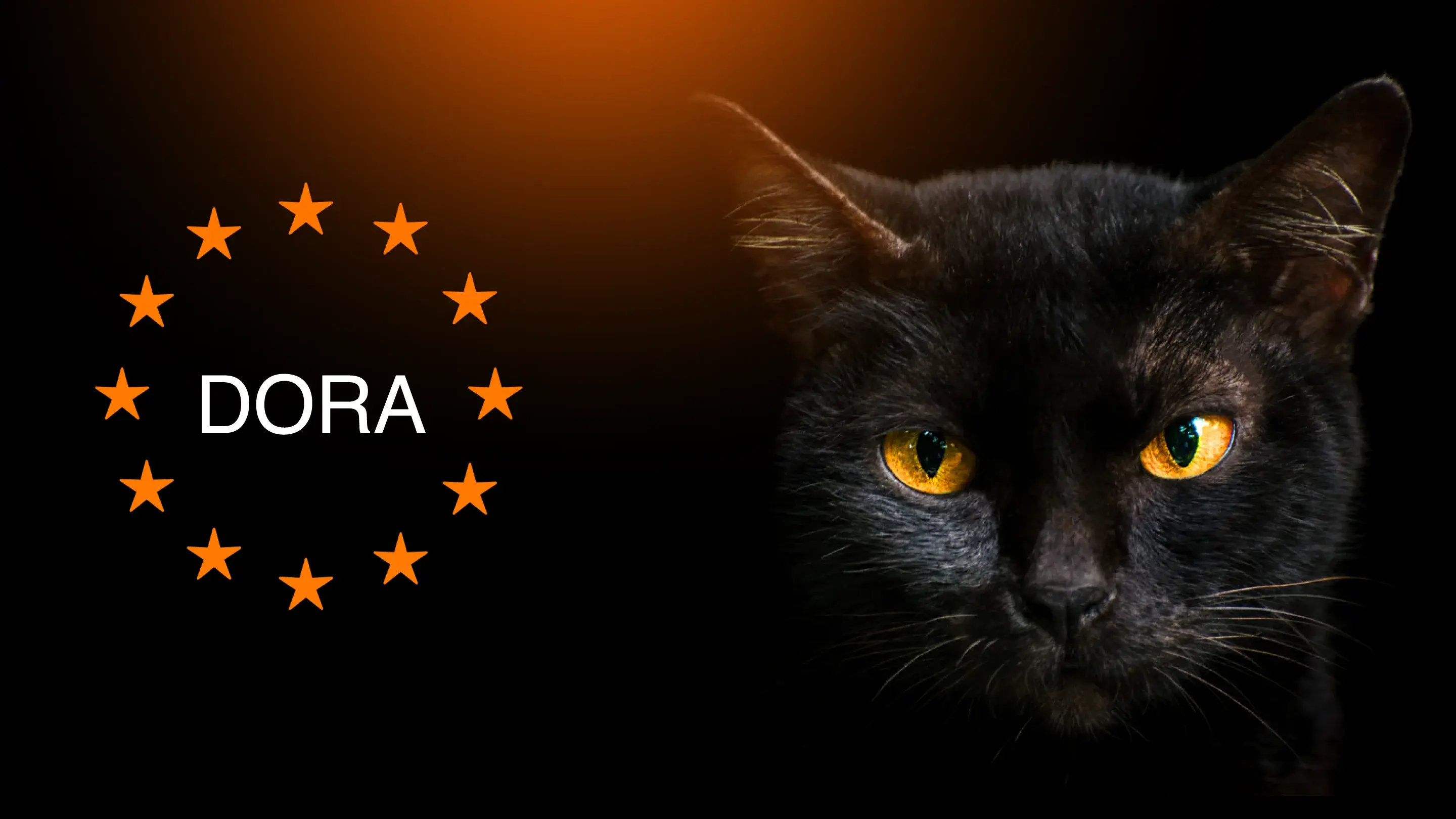 DORA Event Landingpage Banner